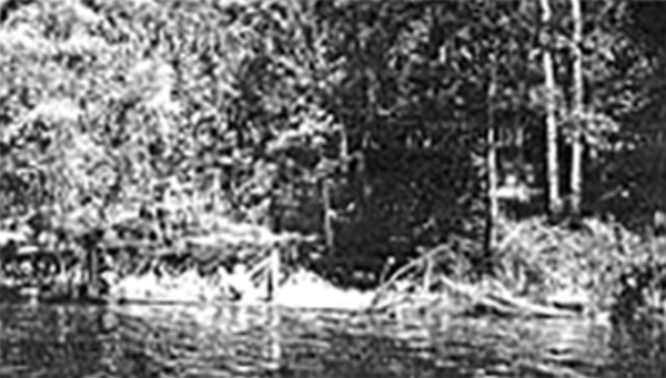 Cabin Shore, Circa 1944